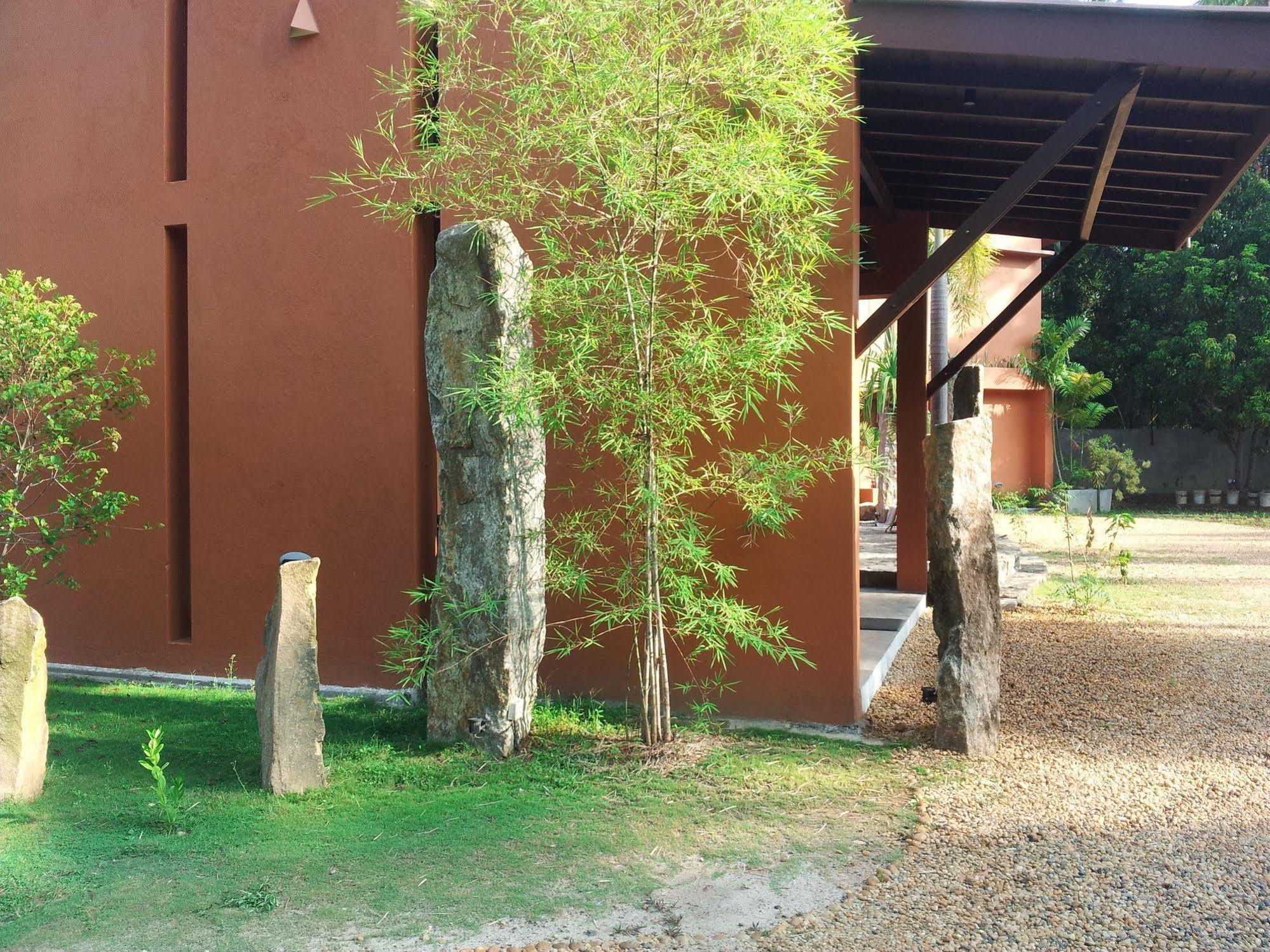 벤토타 La Casita 빌라 외부 사진